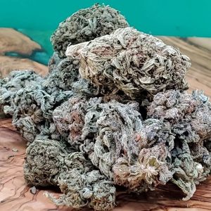 Purple Kush Indica Strain