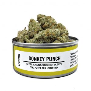 Donkey Punch